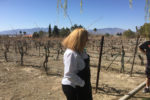 So Nevada Wine Excursion21