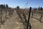 So Nevada Wine Excursion24